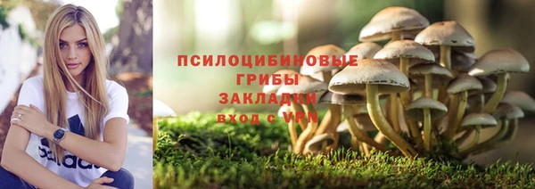 дурь Мегион