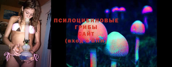 дурь Мегион