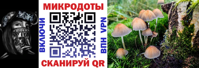 Галлюциногенные грибы GOLDEN TEACHER  omg сайт  Новотроицк  цены  