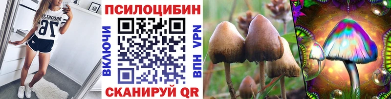 Галлюциногенные грибы MAGIC MUSHROOMS Новотроицк
