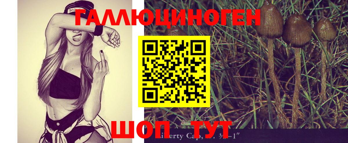 Новотроицк  Псилоцибиновые грибы Psilocybine cubensis  Вход с VPN 