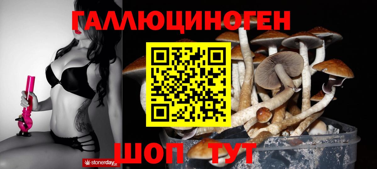 Галлюциногенные грибы MAGIC MUSHROOMS Новотроицк