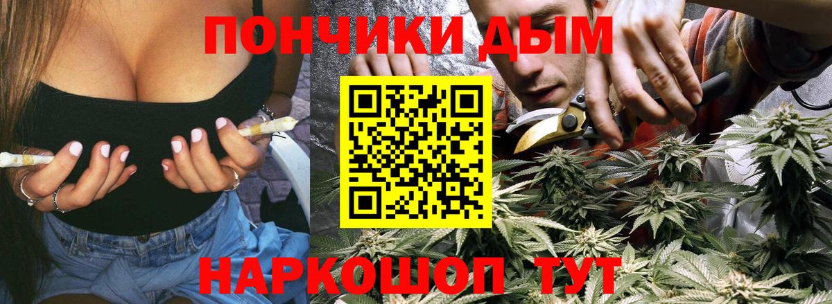 Каннабис план Новотроицк